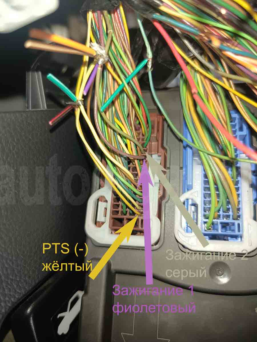 Honda Civic 2022: зажигание Ign1, Ign2 и кнопка PTS