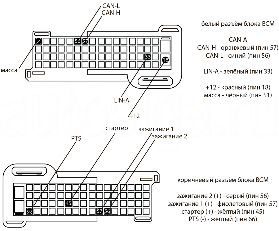 Схема подключения сигнализации Pandora к BCM Honda Civic 2022