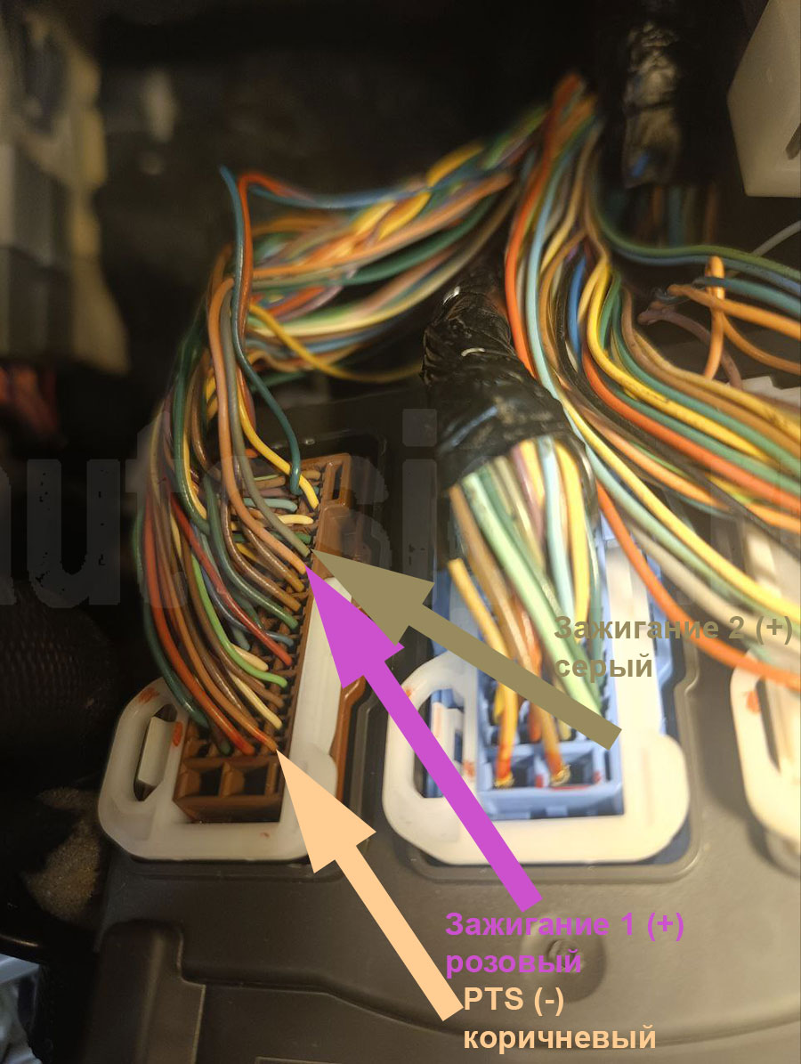 Honda Vezel 2025: зажигание 1 и зажигание 2 на BCM