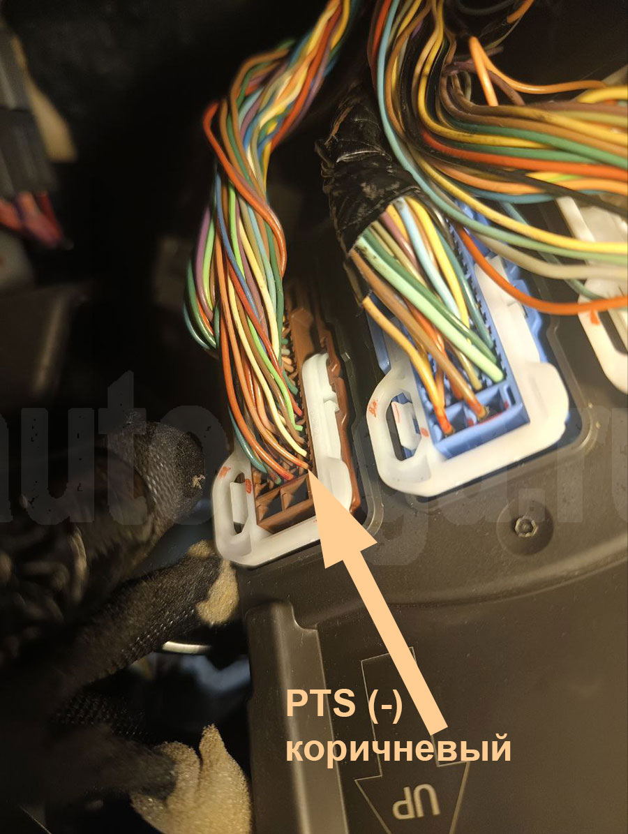 Honda Vezel 2025: кнопка запуска, минус в разъёме BCM