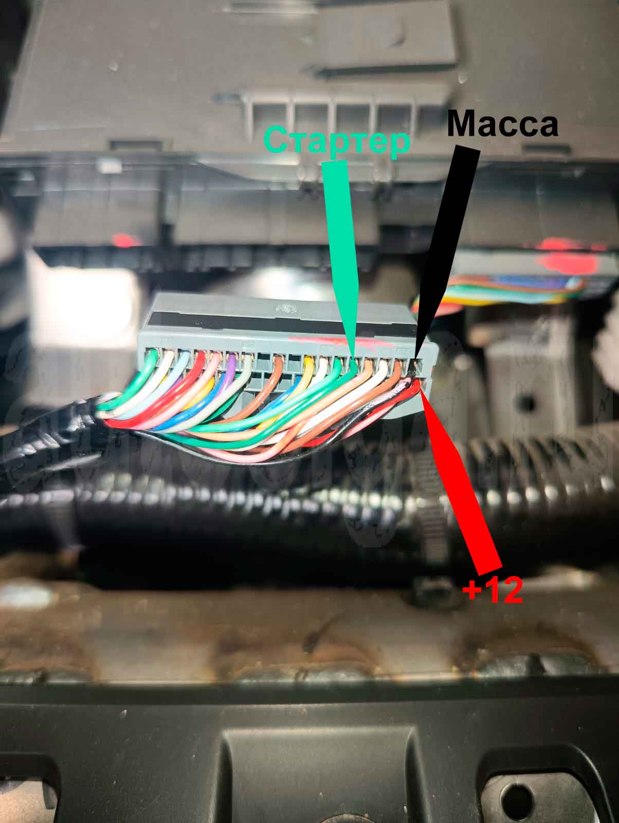 Honda XR-V 2020 – питание и стартер для автозапуска Подключение питания и стартера Honda XR-V 2020