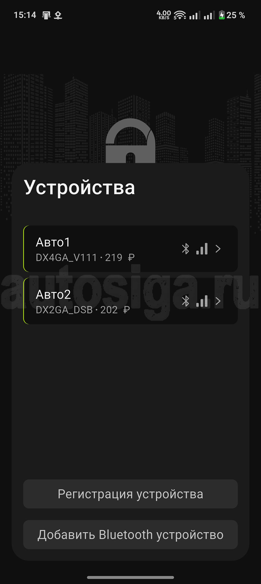 Список двух автомобилей в приложении Pandora Online