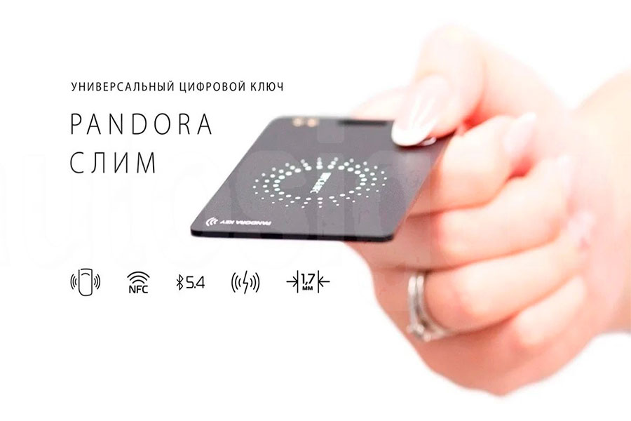 Pandora Слим и VX-4G 3FD GPS Pandora Слим в комплекте Pandora VX-4G 3FD GPS