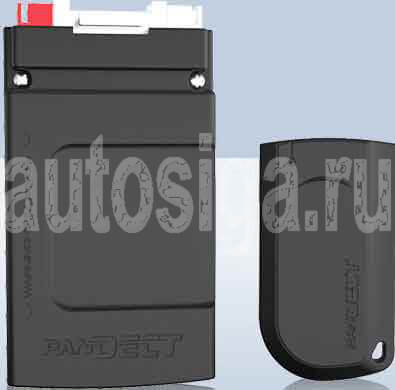 PanDECT X-1700 метка