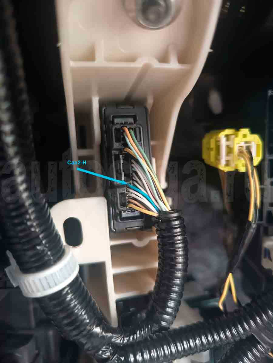 Toyota Avalon: Can2-H