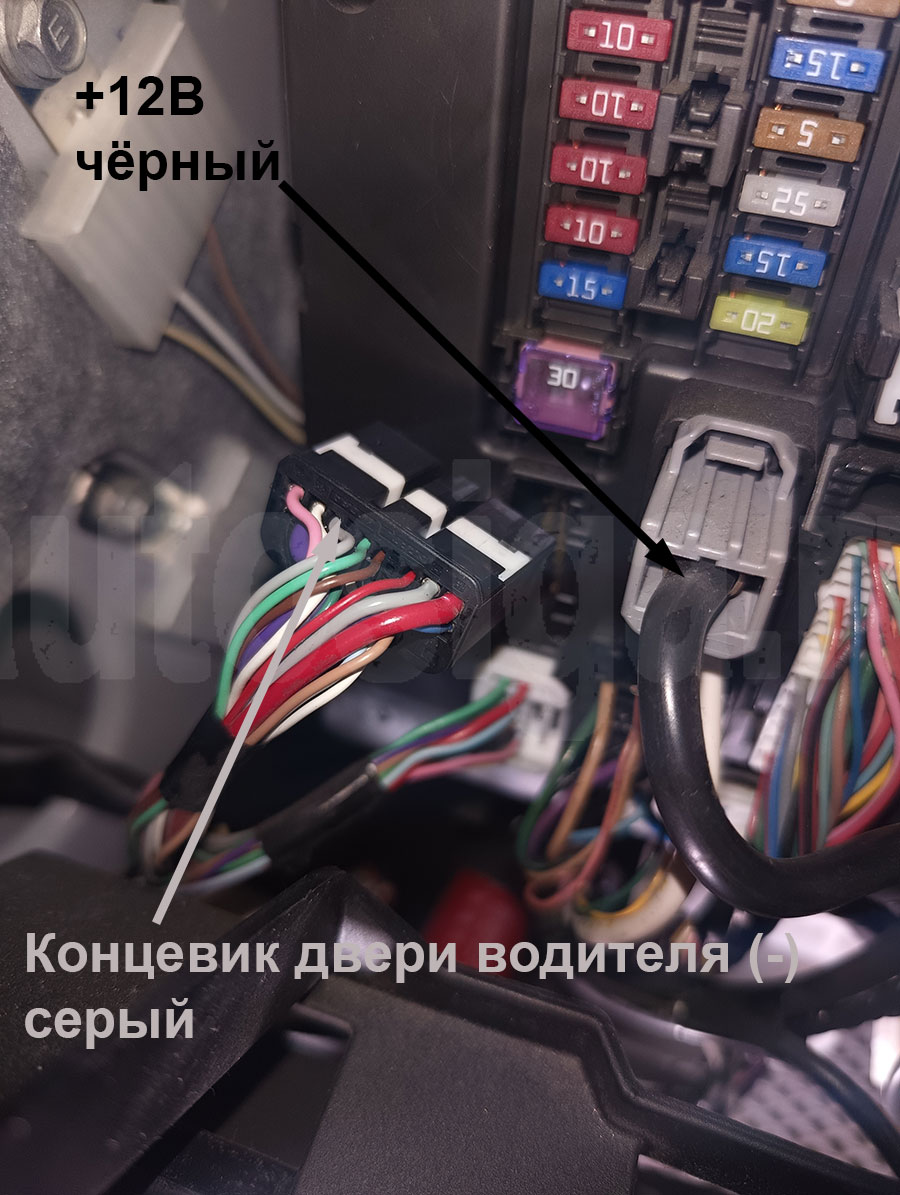 Toyota Roomy 2016-2020 PTS: силовой плюс и концевик двери водителя